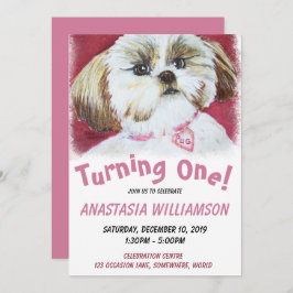 Invitation Shih Tzu d'un an