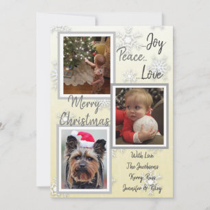 Invitation Silver and Gold Snowflakes Photos de famille Noël