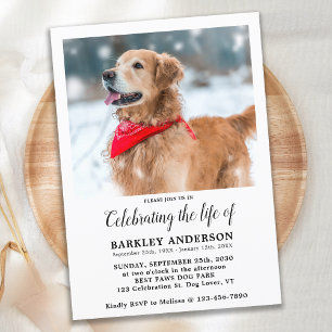 Invitation Simple Pet Memorial Photo Célébration De La Vie