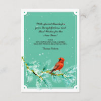 Snowbird Holiday