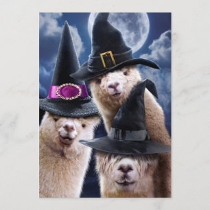 Invitation Sorcières Alpaca