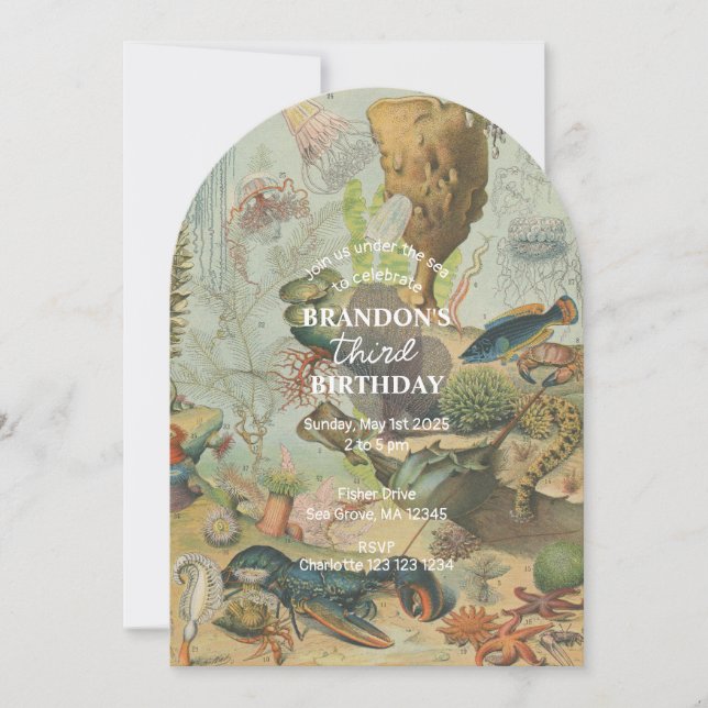 Invitation Sous l'océan Mer Animaux de mer rétro Anniversaire (Devant)