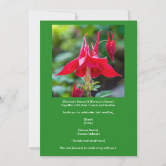 Invitation Spring Red Columbine Native Flower on Green 