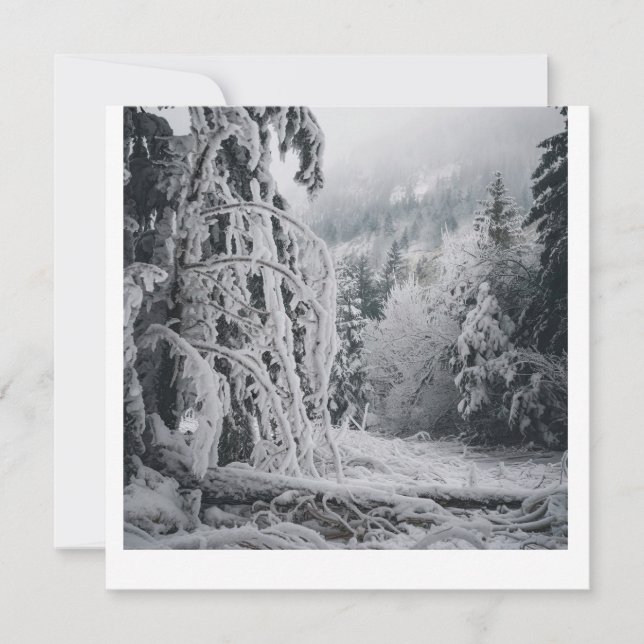 Invitation Sticker pour la forêt de neige (Devant)