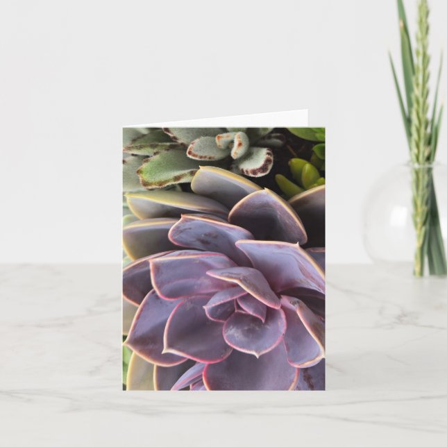 Invitation Succulents (Devant)