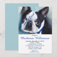 SWEET BOSTON TERRIER PUPPY SOUHAITE UN JOLI ANNIVE