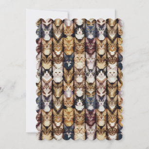 Invitation Texture des chats
