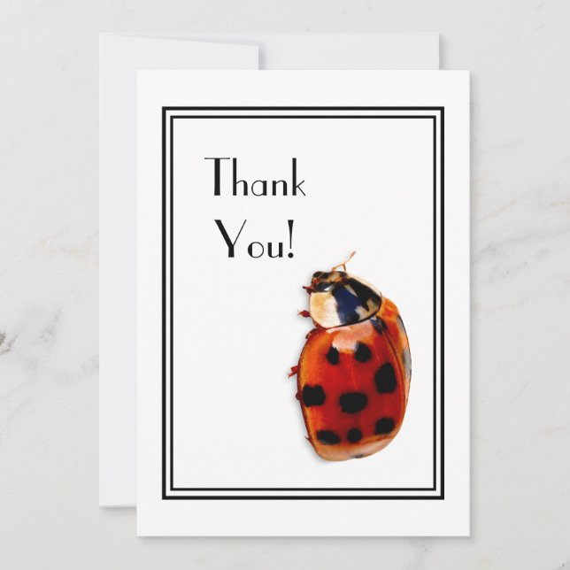 Invitation Thank You Chic Spotted Ladybug (Devant)