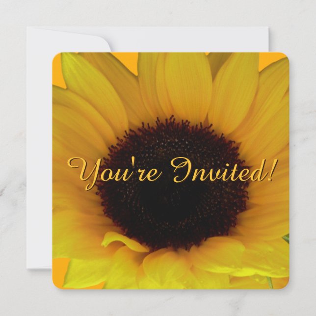 Invitation tournesol Personnaliser la carte RSVP F (Devant)
