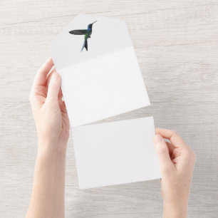 Invitation Tout En Un Colibri