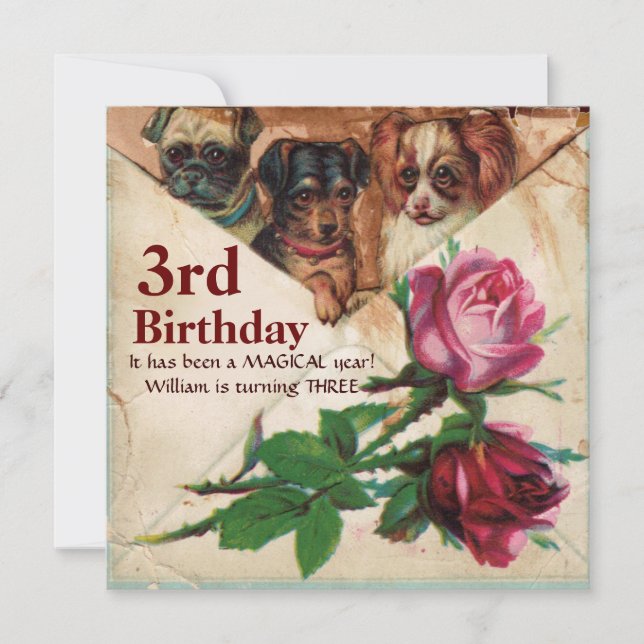 Invitation TROIS DOGGIES AVEC ROSES, Parchemin d'anniversaire (Devant)