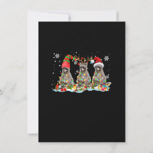 Invitation Trois Père Noël ELF Reindeer Raccoon Noël Lumière 