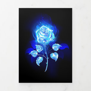 Invitation Trois Volets Rose bleu brûlant