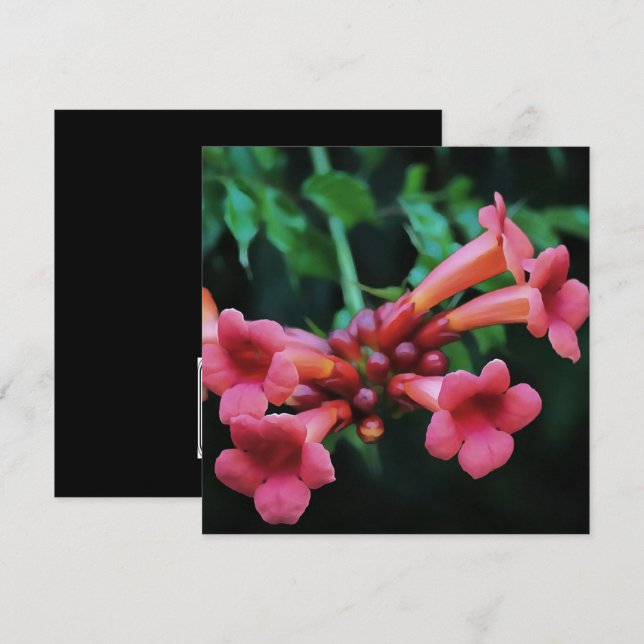Invitation Trompette rose Honeysuckie Art botanique (Devant / Derrière)