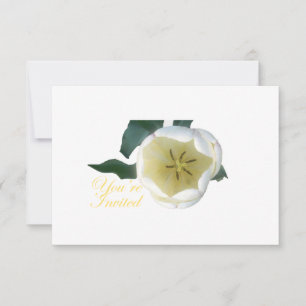 Invitation Tulipe blanche en vitation