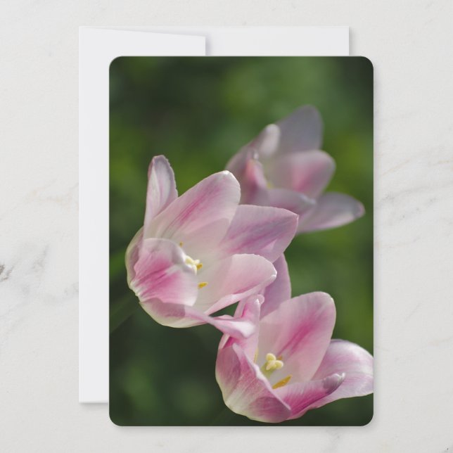 Invitation tulipe rose (Devant)