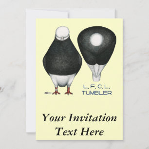 Invitation Tumbler Pigeon Standard Black Balle