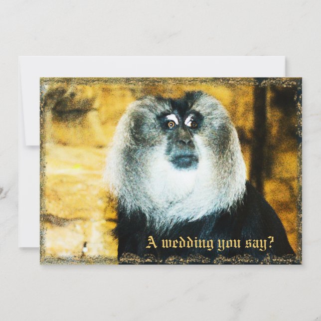 Invitation Un singe amusant Zoo de photos de mariage Invitati (Devant)