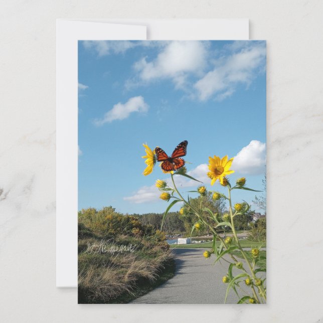 Invitation Un Spectacle éblouissant (Devant)