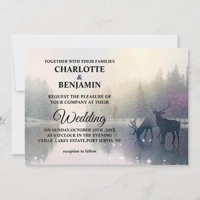 Invitation Unique Fairytale Enchanted Forest Mariage (Devant)