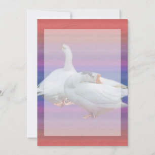 invitation vierge, toutes fins