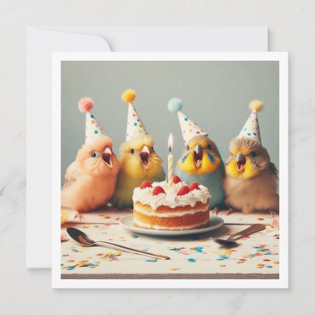 Invitation Vite ! Anniversaire de la perruche, anniversaire d (Devant)