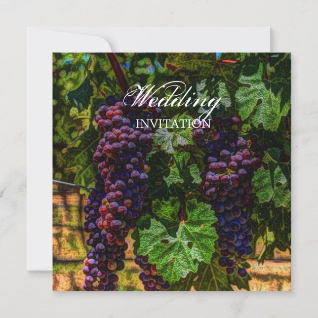 Invitation viticulture romantique violet raisins vigne mariag (Devant)