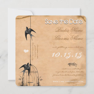 Invitation Votre Photo Cage à Oiseaux en Damas Mariage Économ