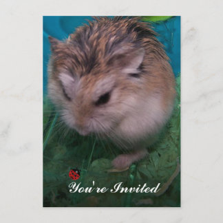 Invitation Vous êtes invité