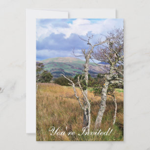 INVITATION VUES DES ALLES