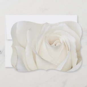 Invitation White Rose 5x7