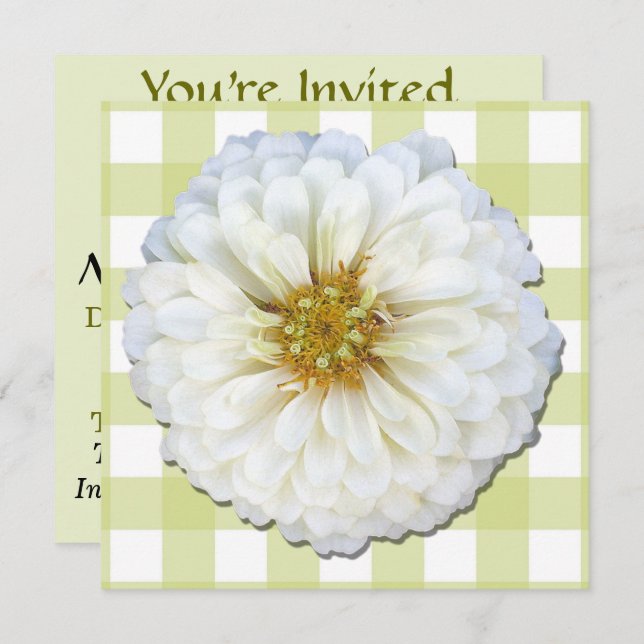Invitation - White Zinnia (Devant / Derrière)