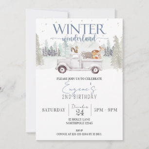 Invitation Winter Wonderland Anniversaire, Garçon 2e Annivers