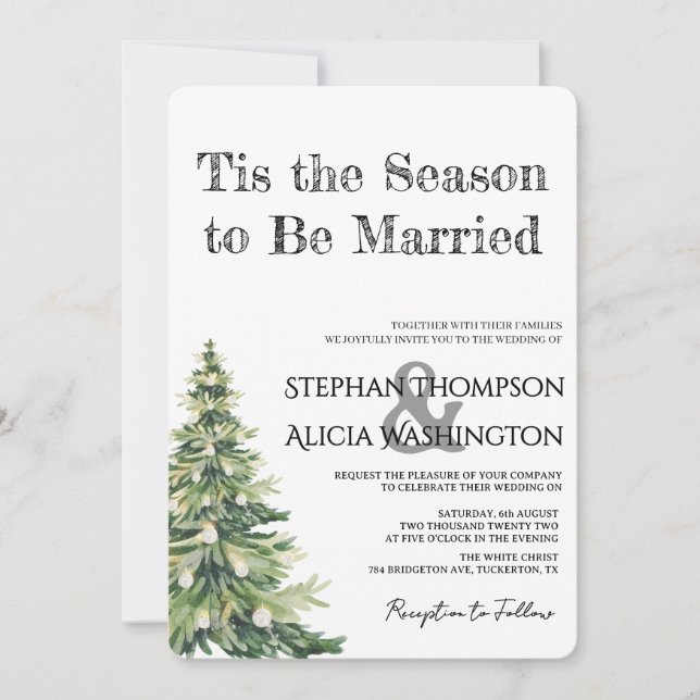 Invitation Winter Wonderland Christmas Wedding (Devant)