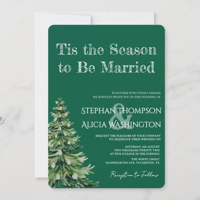 Invitation Winter Wonderland Christmas Wedding (Devant)