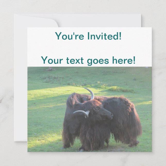 Invitation Yaks (Devant)