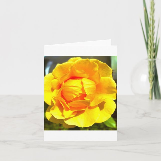 Invitation Yellow Rose Greeting Card (Devant)