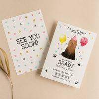 Yorkie Lets Chien Pawty Chien Chiot Puppy Annivers