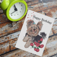 Yorkshire Terrier Joyeux anniversaire