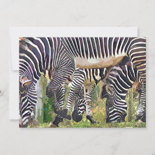 INVITATION ZEBRAS