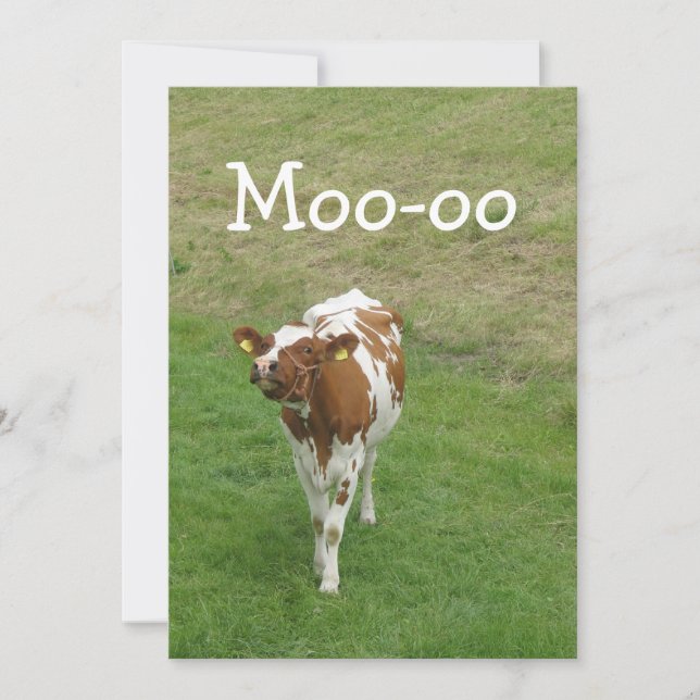 Invitations à la fête de la vache (Devant)