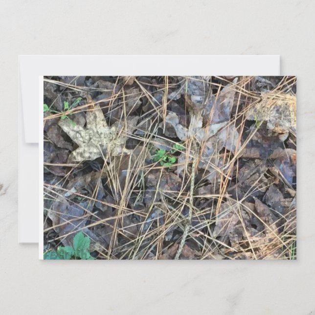 Invitations Camo Blank, Camouflage (Devant)