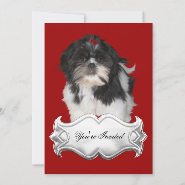 Invitations Chih Shitzu Shih Tzu Chiens Chiots Rou (Devant)
