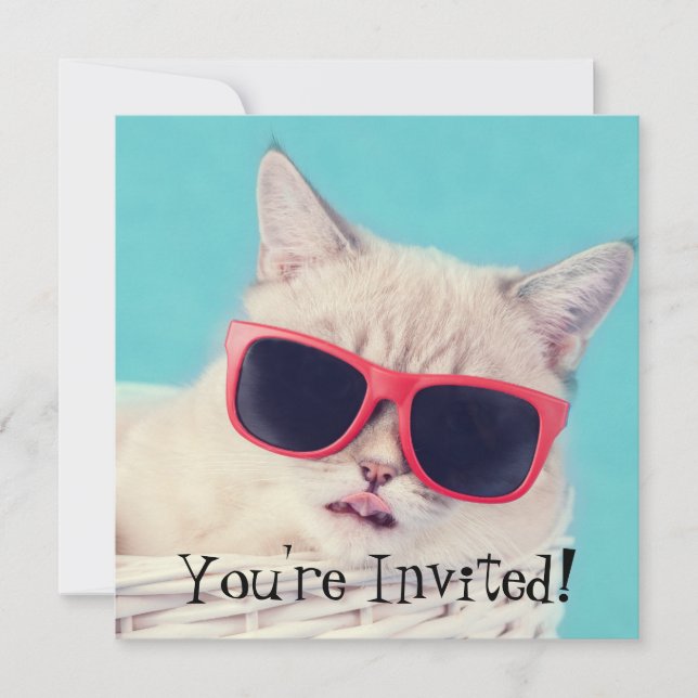 Invitations Cool de la fête du chat Aqua Blue (Devant)