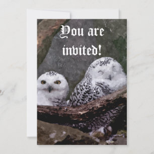 Invitations Cute Owls