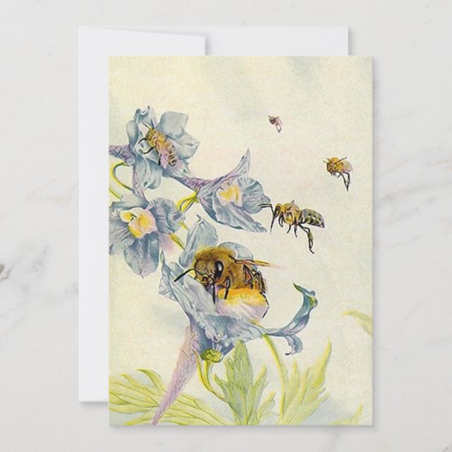 Invitations d'abeilles de miel et de fleurs de (Devant)