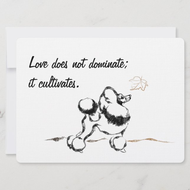 Invitations de caniches (Devant)