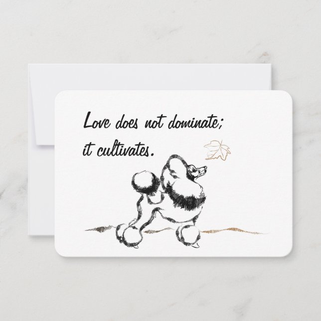 Invitations de canicules (Devant)