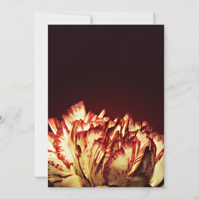 Invitations de Carnation Fire (Devant)