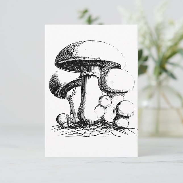 Invitations de champignons de prairie (Créateur téléchargé)
